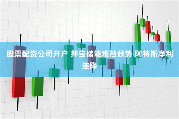 股票配资公司开户 押宝储能难挡颓势 阿特斯净利连降