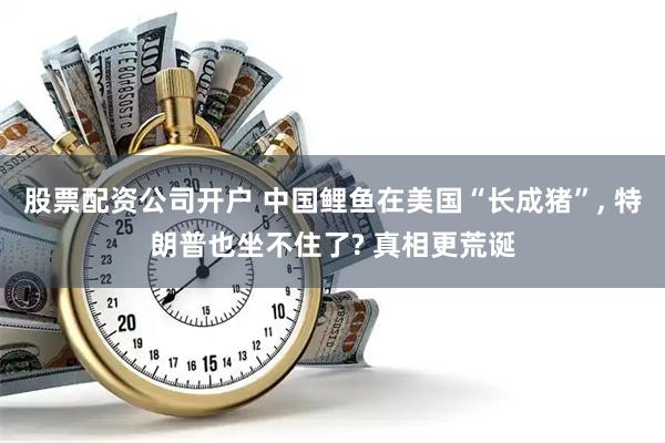 股票配资公司开户 中国鲤鱼在美国“长成猪”, 特朗普也坐不住了? 真相更荒诞