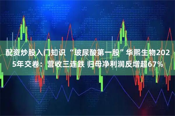 配资炒股入门知识 “玻尿酸第一股”华熙生物2025年交卷：营收三连跌 归母净利润反增超67%