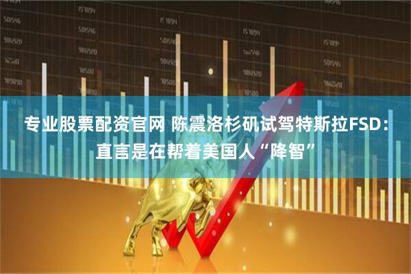 专业股票配资官网 陈震洛杉矶试驾特斯拉FSD：直言是在帮着美国人“降智”